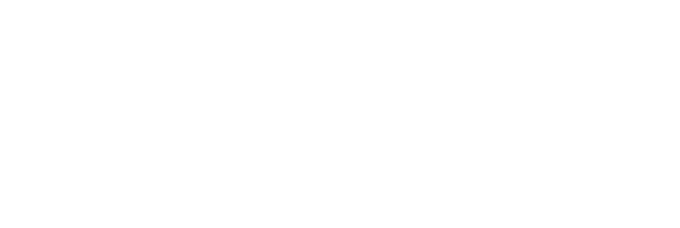THEMION — Intelligence in Motion.